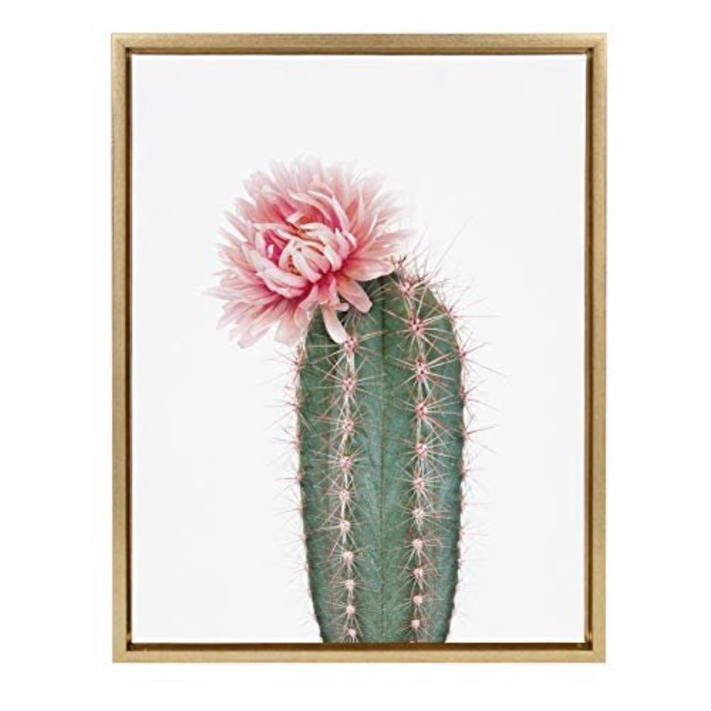 Kate and Laurel Sylvie Pink Cactus Flower Framed Art by Amy Peterson 18x24 Gold